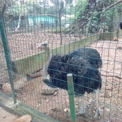 Whatsapp Image 2019 04 30 At 15.29.46