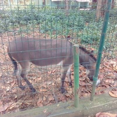 Whatsapp Image 2019 04 30 At 15.29.47